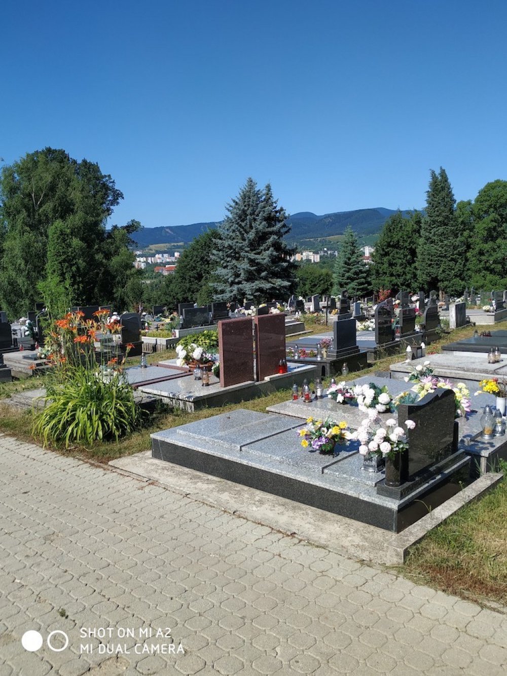 Uzatvorenie Cintorína námestie Štefana Moysesa