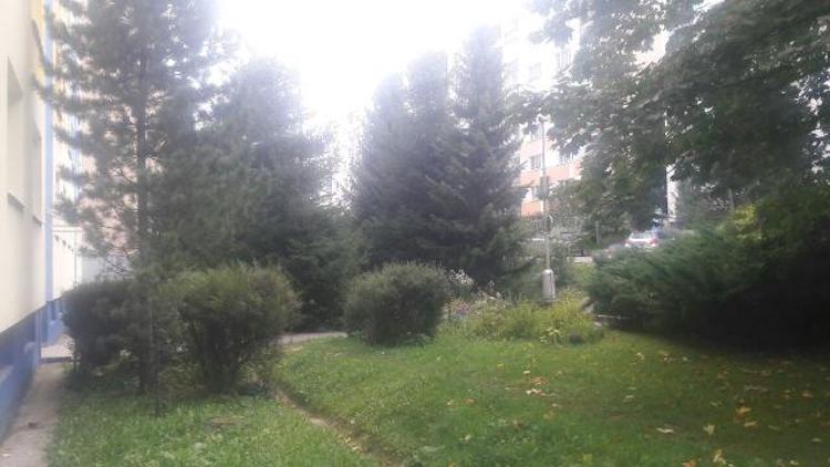 Harmonogram kosenia v 32. týždni